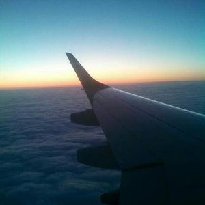flight