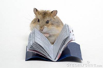 Hm. I'm not sure about this new Franzen novel. Seems overdone.