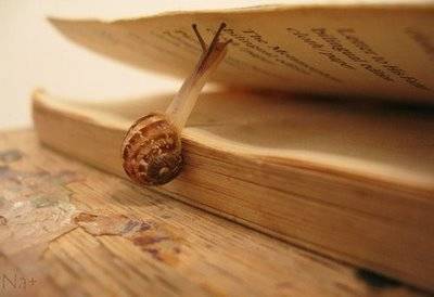 Is it just me or do Dan Brown novels seem to get longer and longer and longer?