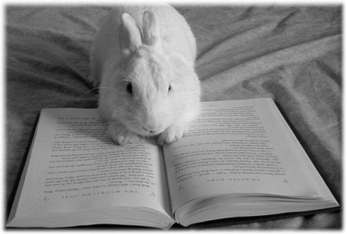 The black-and-white tells you I'm a serious reader of literature.
