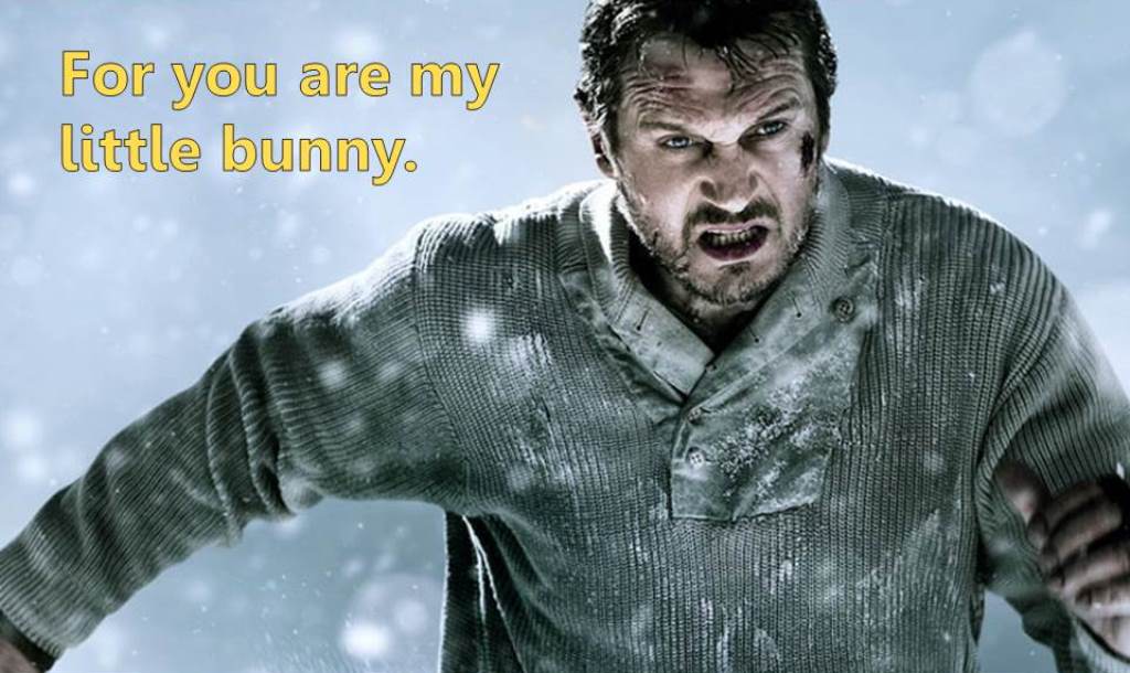 Liam Neeson as Runaway Bunny 3