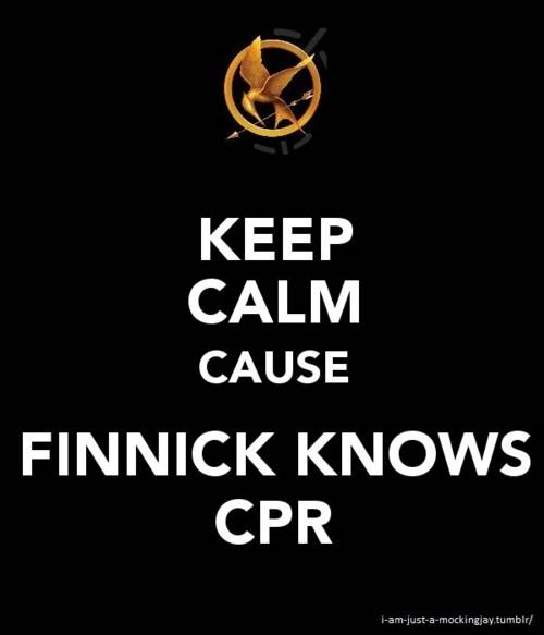 Keep-Calm-the-hunger-games-24963276-500-583