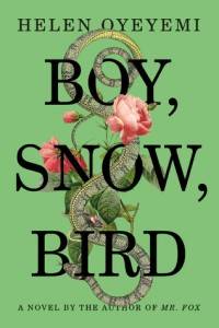 boy snow bird cover