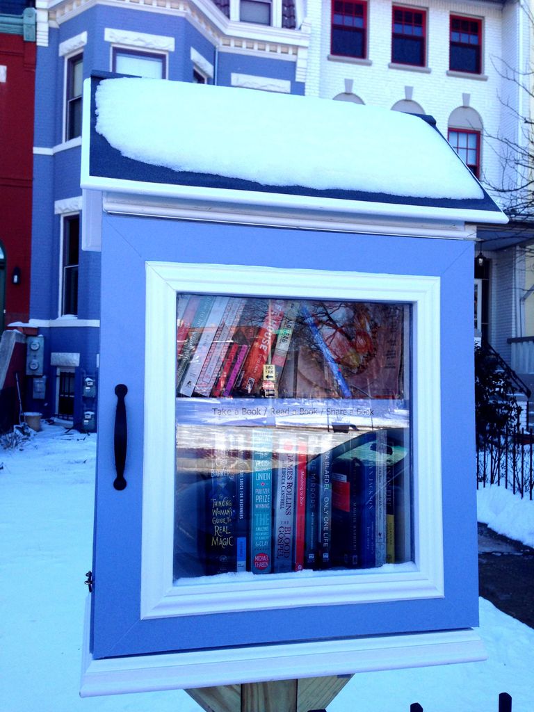 Little Free Library in the Snow