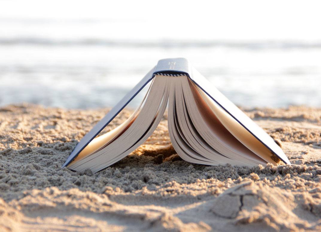summer beach reading